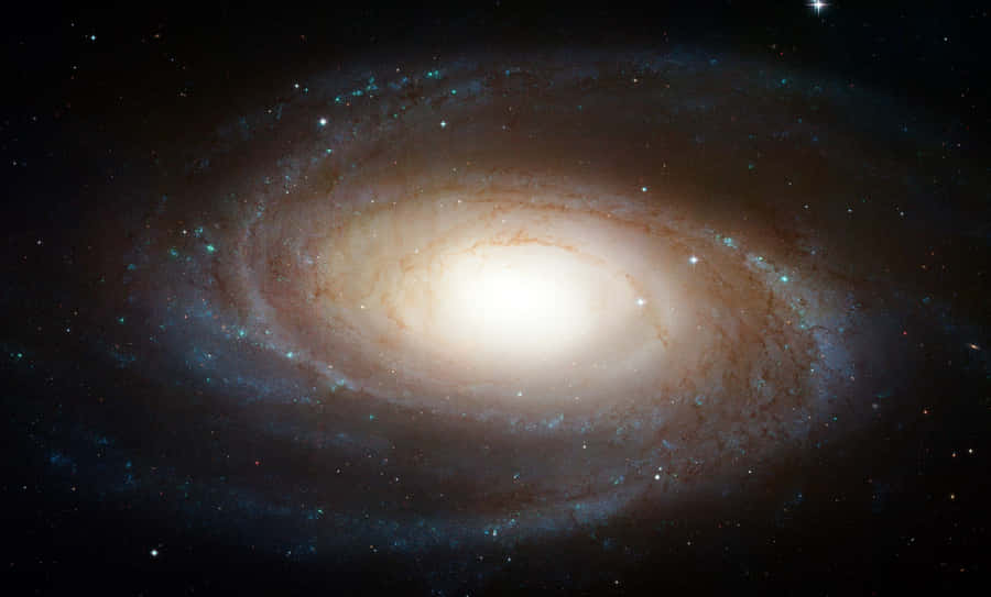 MaestosaGalassia Ellittica che Svela la sua Bellezza Cosmica