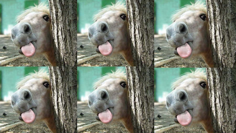 "A vibrant day at the field with a playful horse"