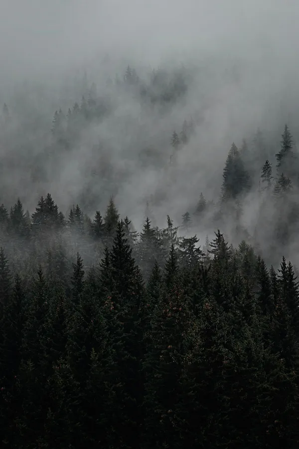 Gloomy