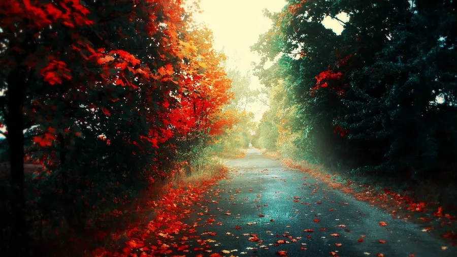 Red Forest