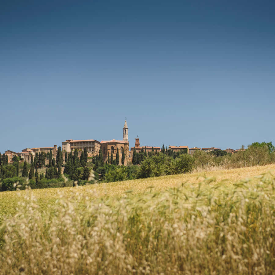 Campode grama com vista ampla da cidade de Pienza