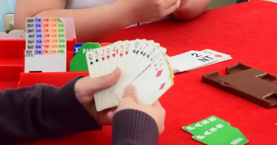 Bridgette Card Game