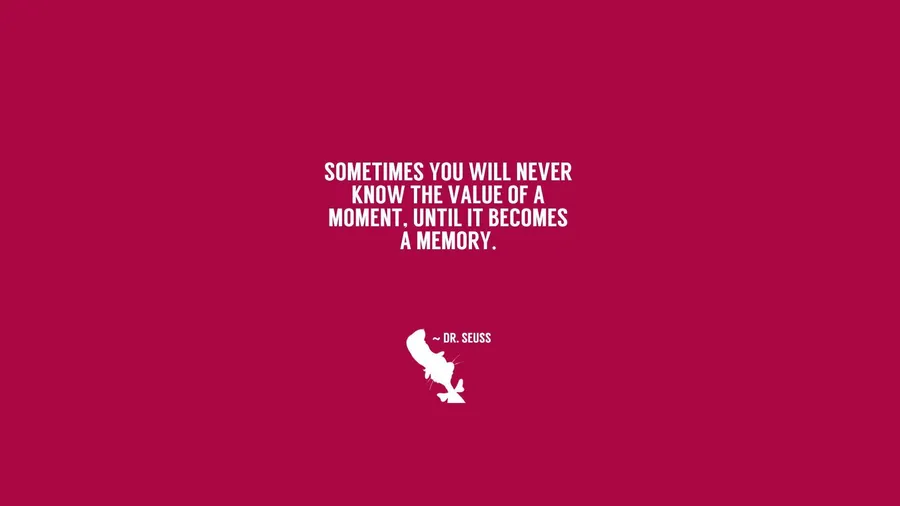 Dr Seuss