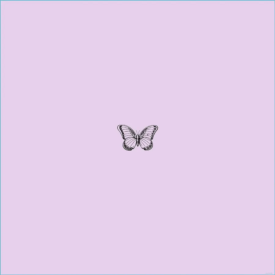 Lilac Color