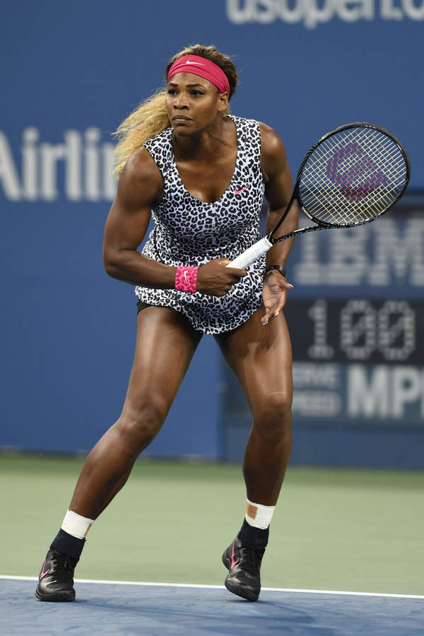 Download Serena Williams Animal Print Wallpaper | Wallpapers.com