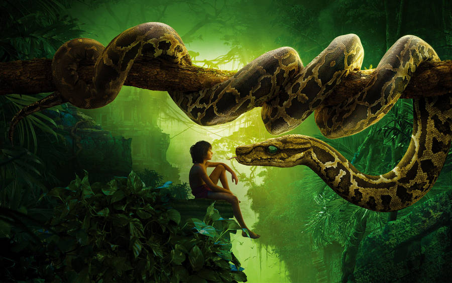 Serpent Python Kaa 3D Fonds d'écran