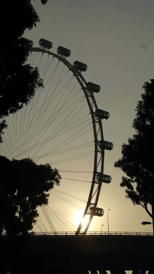Singapur_ Riesenrad_ Silhouette_ Bei_ Sonnenuntergang