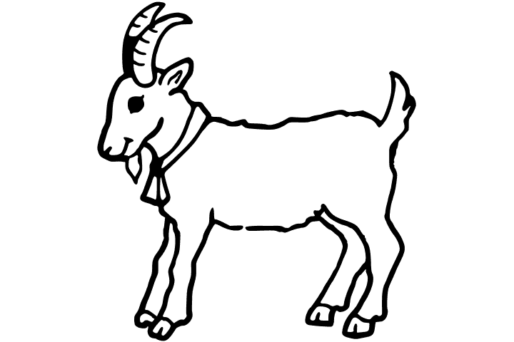 Vibrant Image of a Mountain Goat in the Wild