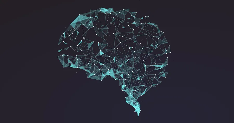 Brain