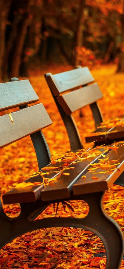 Iphone Fall Background