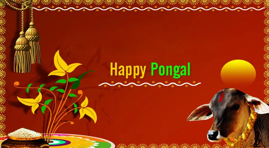 Pongal background