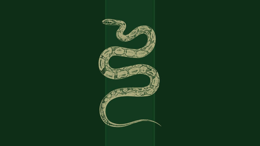 Download Slytherin Aesthetic Green Snake Wallpaper Wallpapers Com