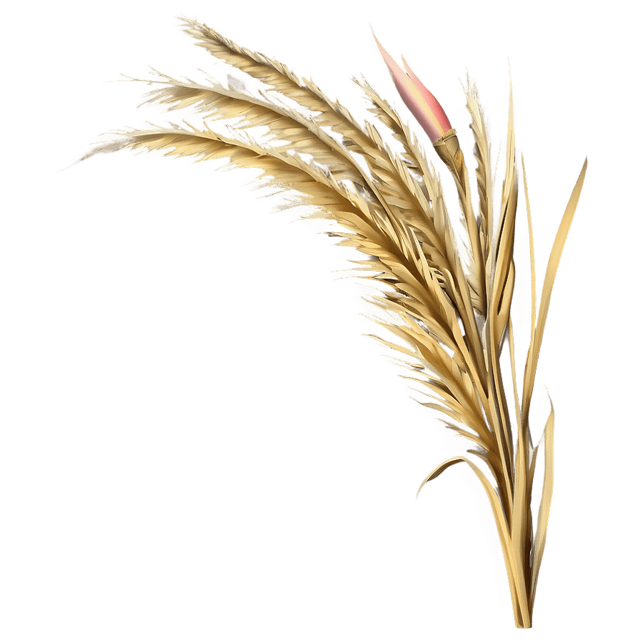 Golden Wild Grass PNG bht
