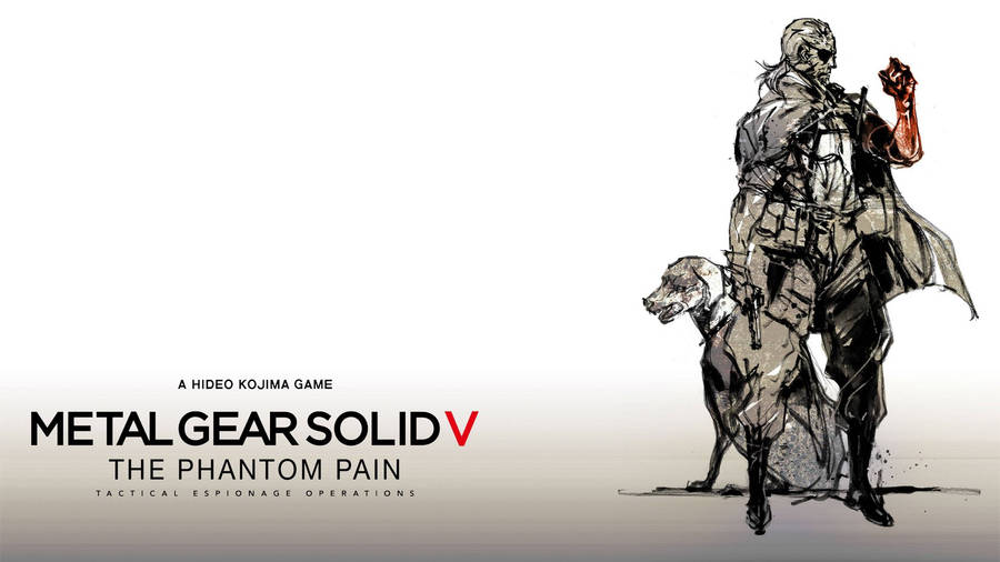 Download Snake And Dd Metal Gear Solid Wallpaper Wallpapers Com