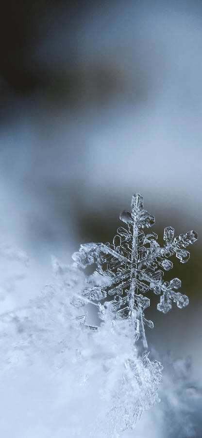Snowflake Iphone