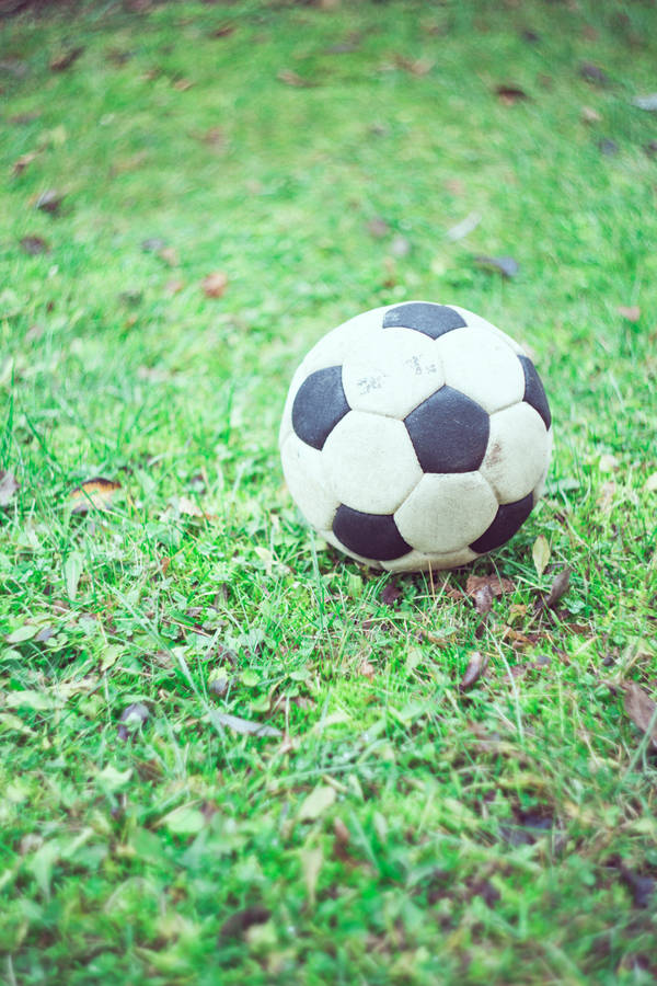 Download soccer ball, football, grass, blur Wallpaper | Wallpapers.com