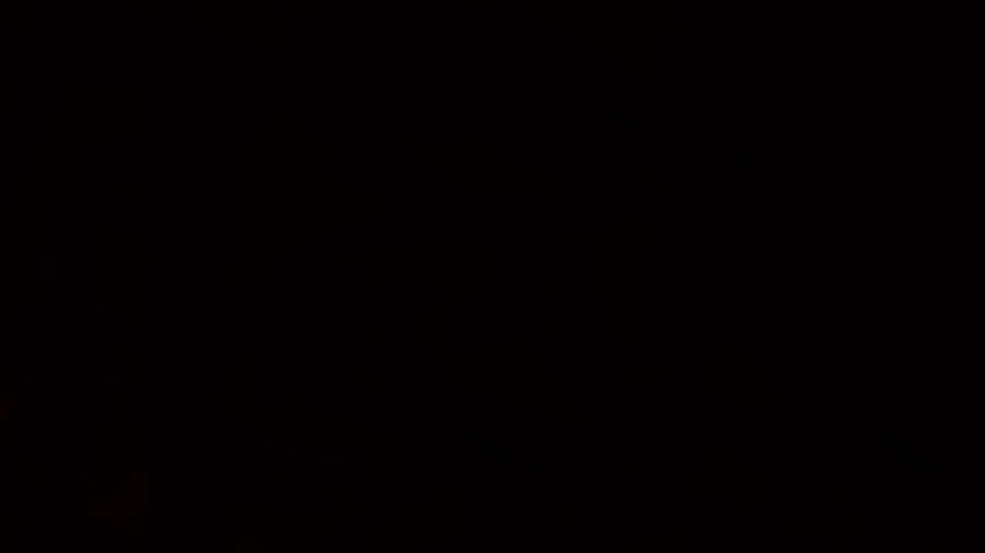 Solid Black Background