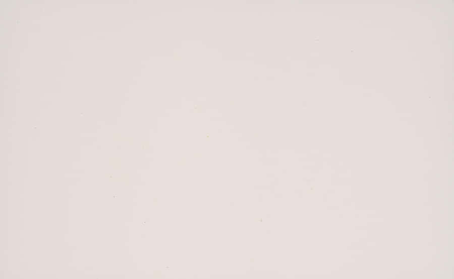 Solid Gray Background