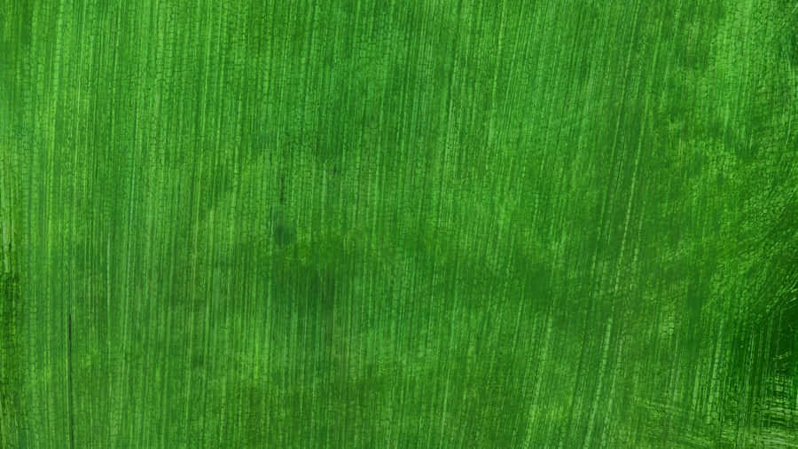 Solid Green Background