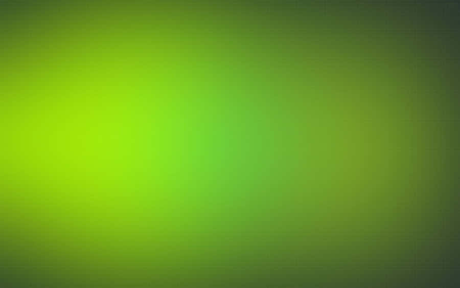 Solid Green Background