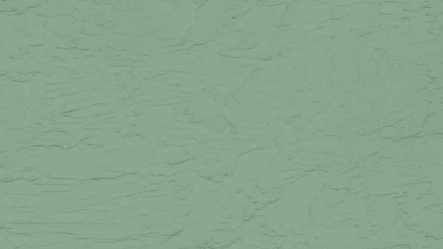 Solid Green Background