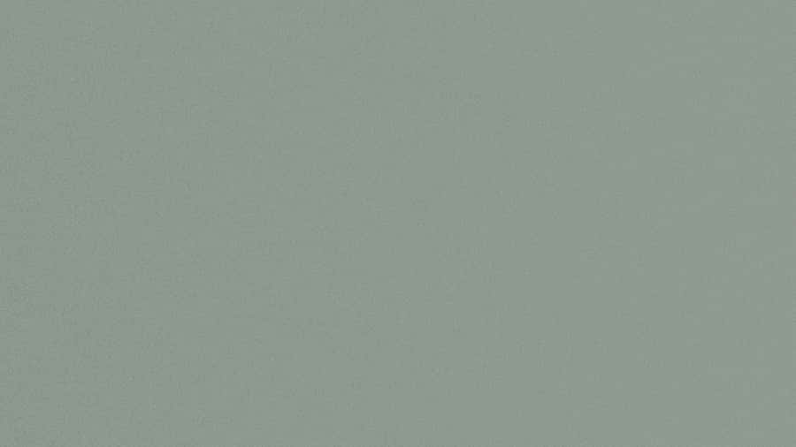 Solid Green Background