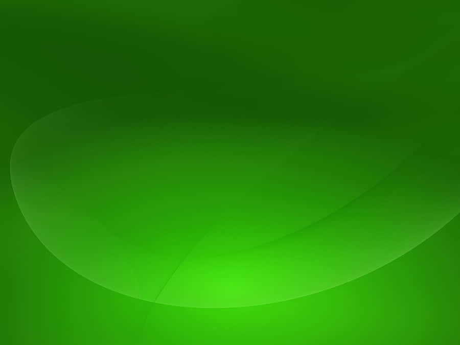 Solid Green Background