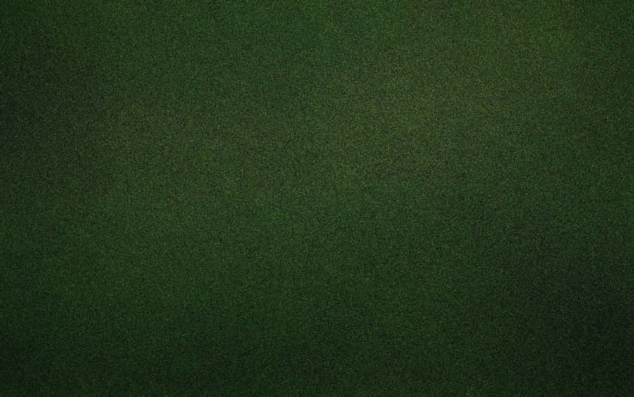 Solid Green Background