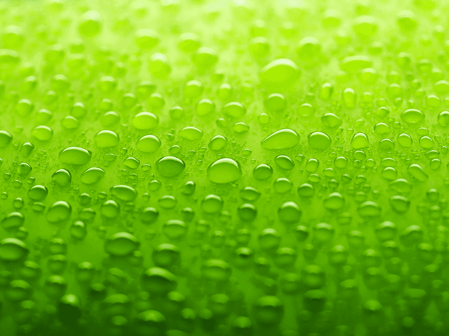 Solid Green Background