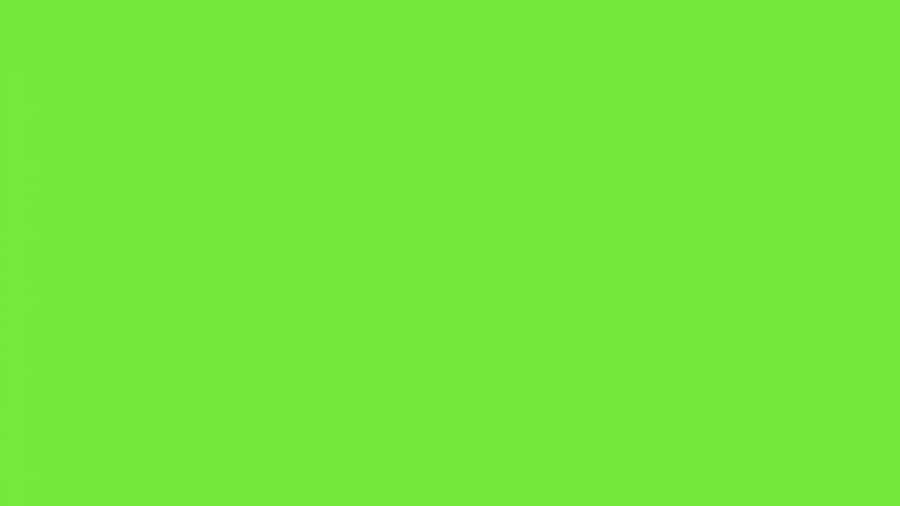 Solid Green Background