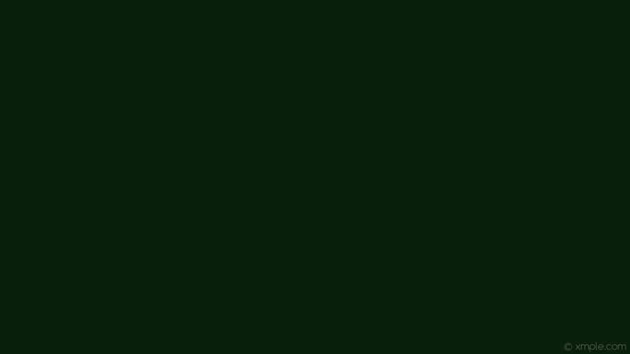 Solid Green Background