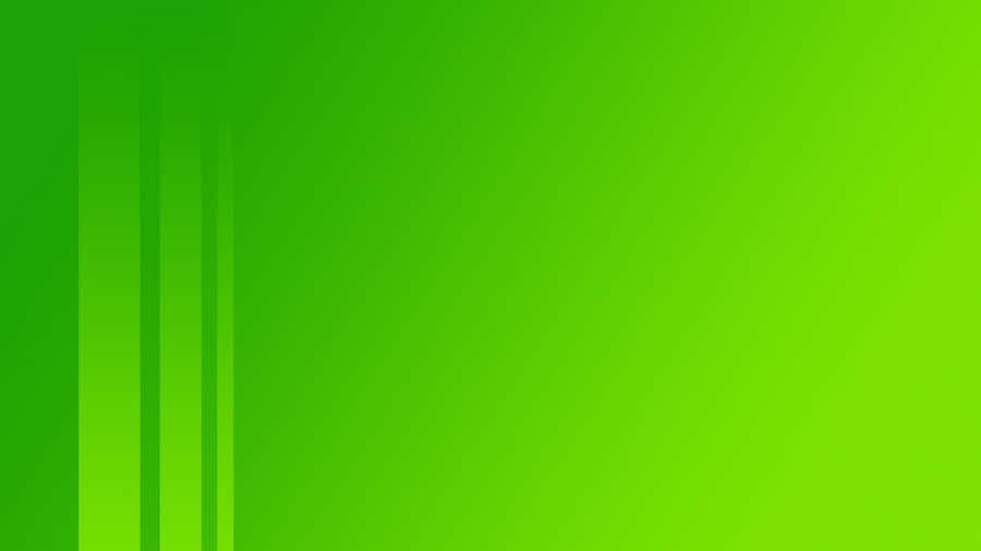 Solid Green Background