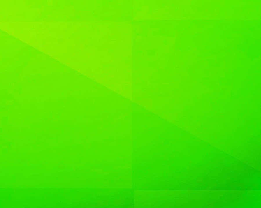 Solid Green Background