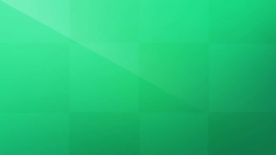 Solid Green Background