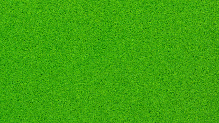 Solid Green Background