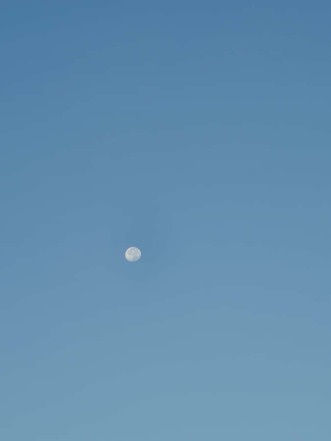 Solid Light Blue Background