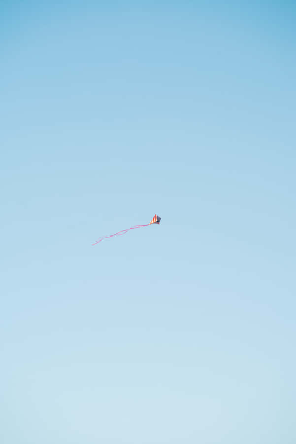 Solid Light Blue Background
