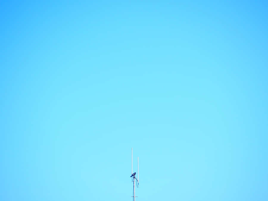Solid Light Blue Background