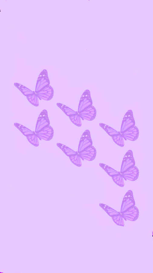 Solid Light Purple
