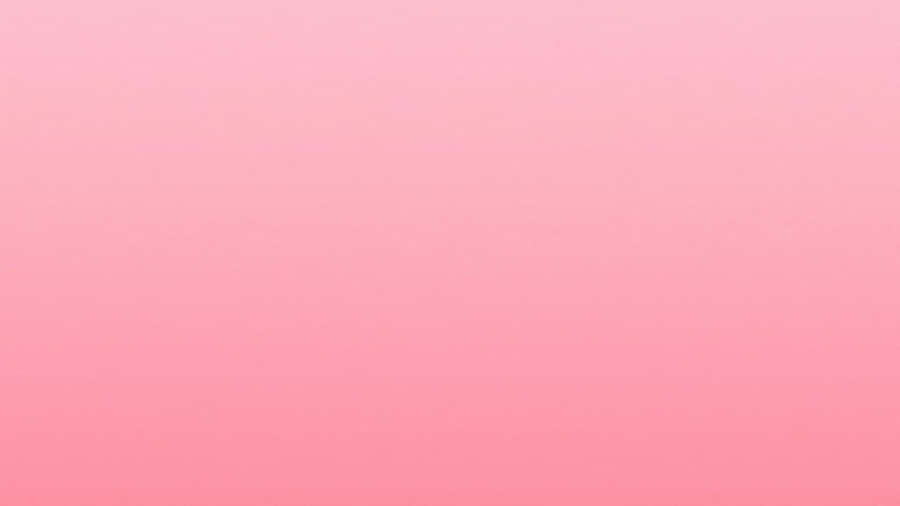 Solid Pink
