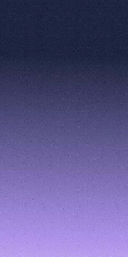 Solid Purple