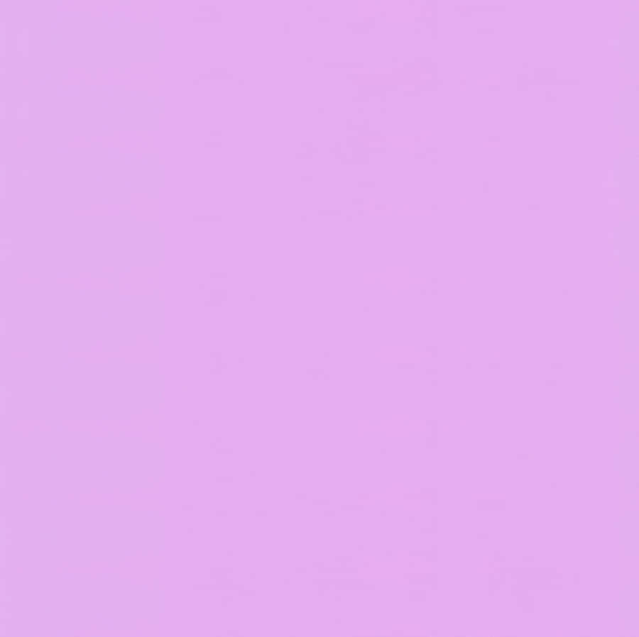 Solid Purple