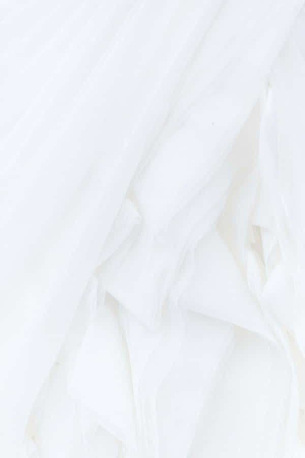 Solid White Background