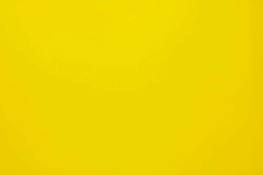 Solid Yellow