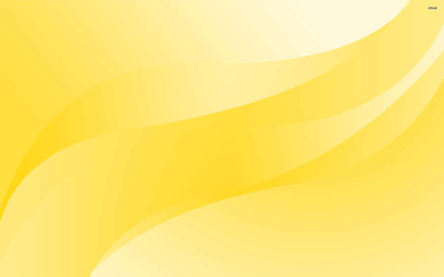 Solid Yellow Background