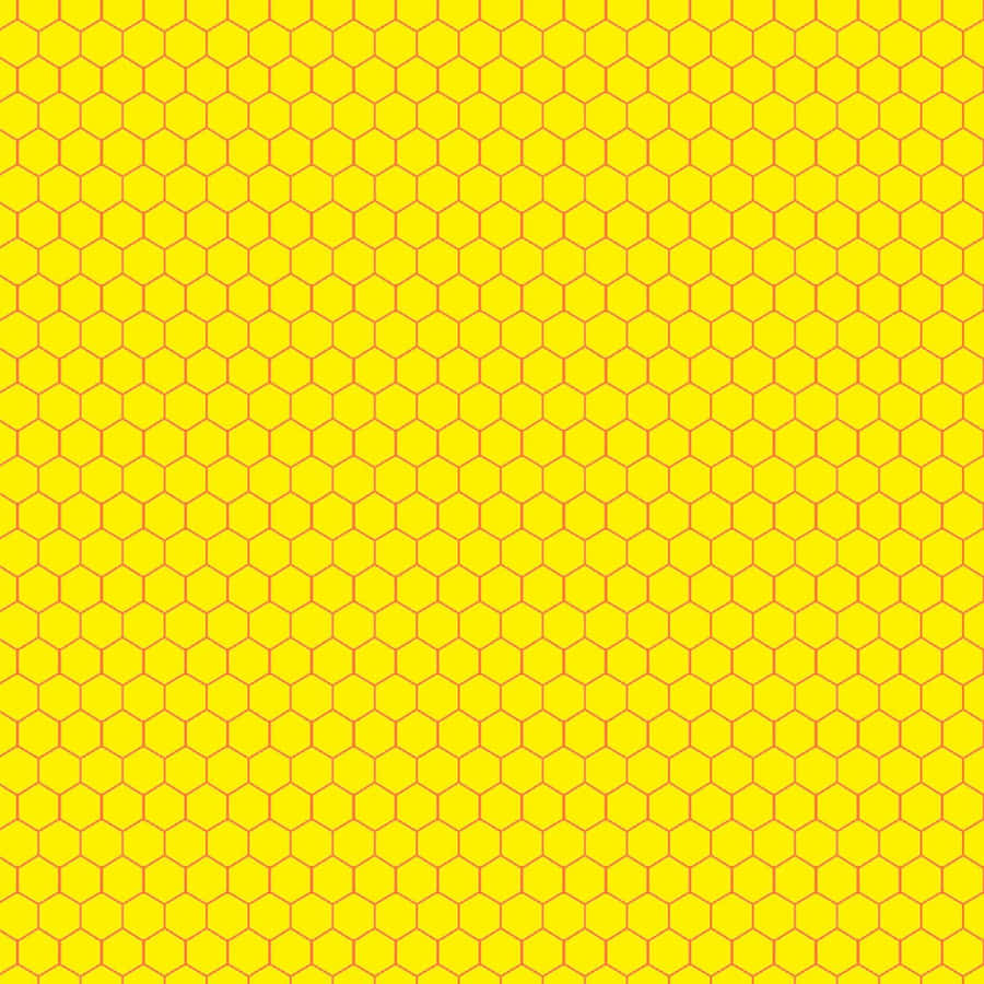 Solid Yellow