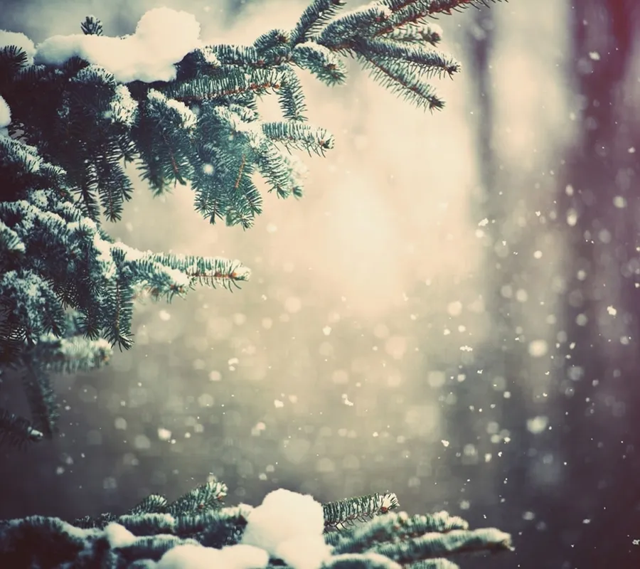 Snowfall background