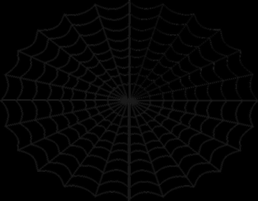Spider Web Pattern Black Background