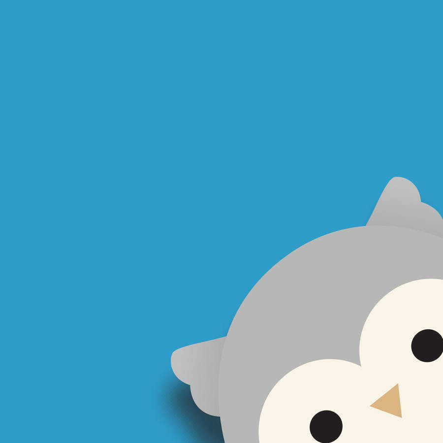 EulenSquishmallows im Spitzen-Look