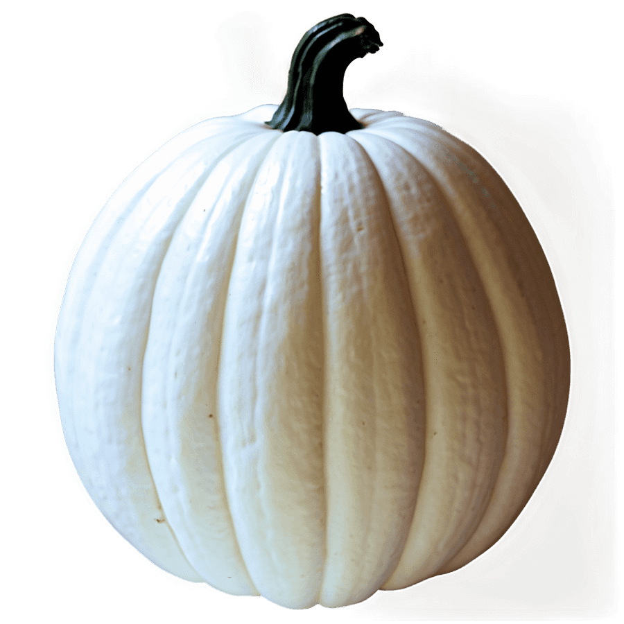 White Pumpkin Silhouette PNG 4